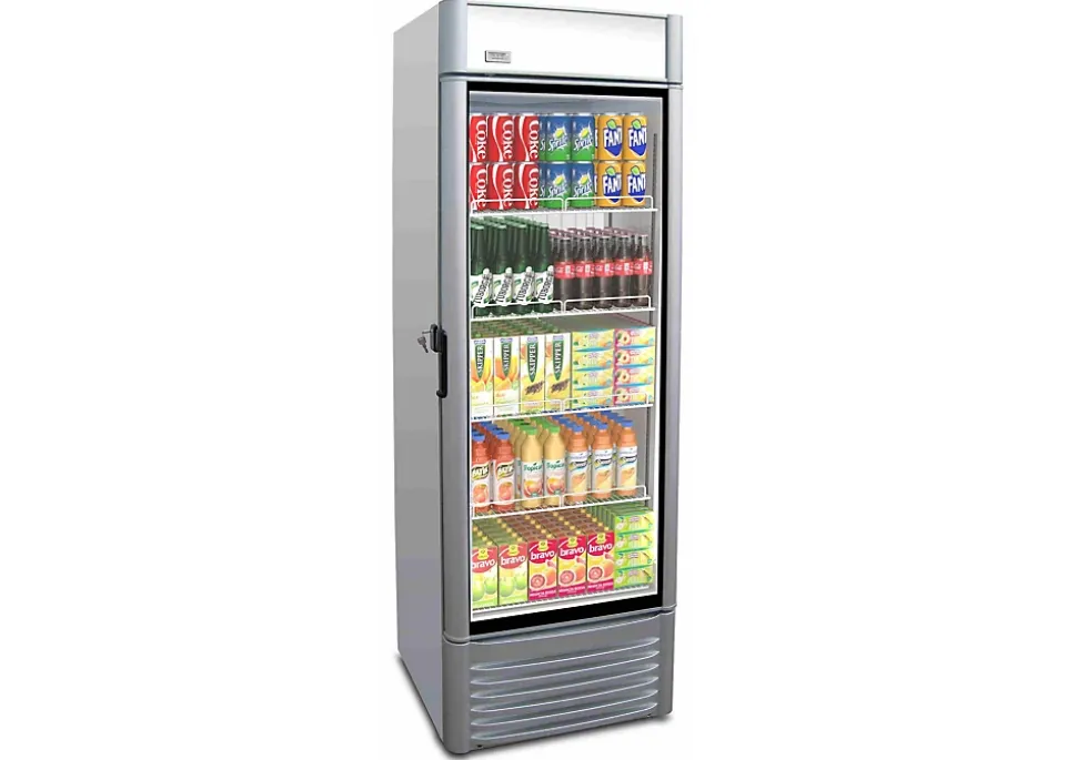 Armoire à Boissons EKO 42.3 Grise 615 x 600 x 1945 mm - IARP