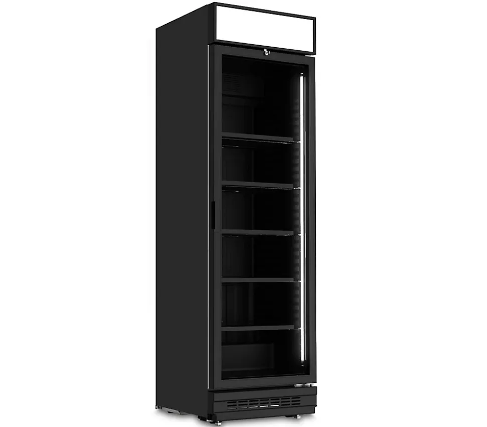 Armoire à Boissons FIZZ 42 Noire 590x629x2006mm - IARP