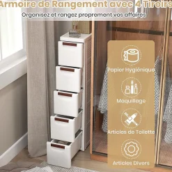 Armoire de Rangement à roulettes Etroite, Chariot en Plastique Mince à 3/4/5/6 Tiroirs, Roues Intégrées (5 Tiroirs,Blanc)