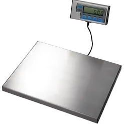 Balance Electronique Affichage Mural 60 Kg