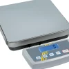 BALANCE ELECTRONIQUE PESAGE PATONS-L2G