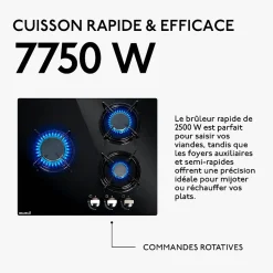 BELDEKO - Plaque de cuisson Gaz verre noir 3 foyers - Gaz ville et bouteille