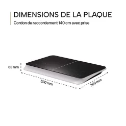BELDEKO - Plaque Induction Portable de 3500W, sensitive, 10 niveaux de puissance, minuterie, posable
