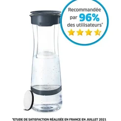 Bouteille filtrante BRITA - Fill & Serve Gris - Capacité 1,3L - 1 filtre MicroDisc inclus