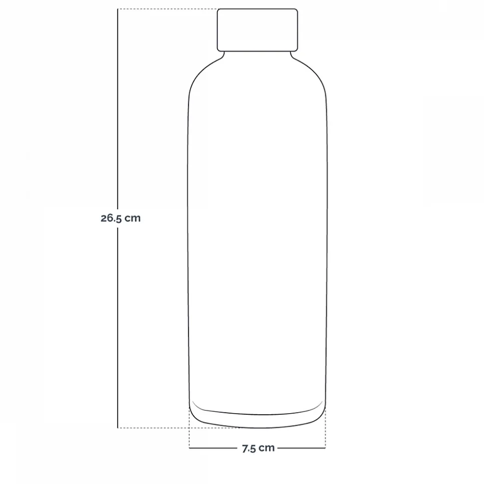 Bouteille, gourde isotherme chaud ou froid en acier inoxydable, réutilisable - 750 ml - Noir - Vivezen