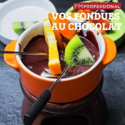 Brûleur alcool fondue savoyarde FM Professional