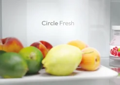 CANDY Réfrigérateur combiné CNCQ2T618EW