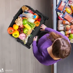 Chariot de course pliable aluminium 2 roues avec sac isotherme noir VOUNOT