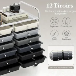 Chariot Rangement avec 12 Tiroirs Amovibles PP,Chariot à roulettes avec Roues Bloquantes et Poignées,62,5 x 37 x 62,5CM