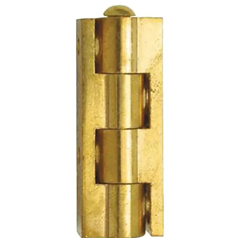 Charnière universelle en applique pour meuble hauteur 50mm diamètre nœud 10mm laiton poli - CUB050S10