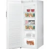 Congélateur armoire 60cm 245l statique Indesit UI62WFR