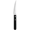 Couteau à Steak pour Restaurant Manche Noir 217 mm Lot de 12 Amefa