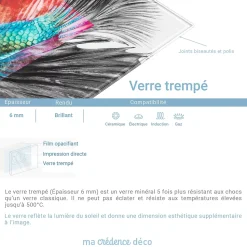 Crédence cuisine fond de hotte La terre vue de l'espace - Verre trempé - L 90 cm x H 50 cm - MaCrédenceDéco