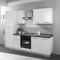 Crédence de cuisine auto-adhésive Caméléo motif oasis gris clair l. 200 cm x H. 40 cm x ép. 0,2 mm