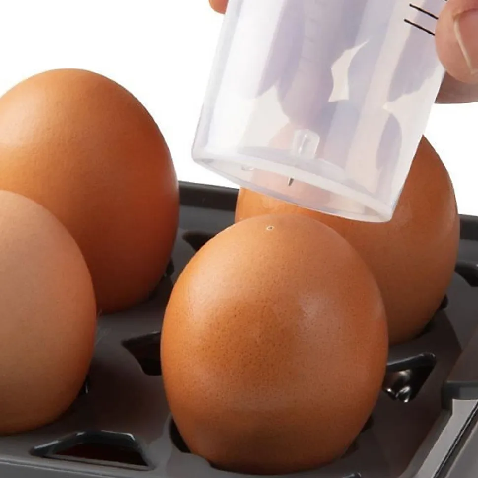 Cuiseur a oeufs - DOMO - DO9283EK - 400 W - 6 oeufs - Gris