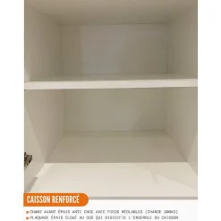 Cuisineandcie - Meuble bas de cuisine Eco Chene Naturel 2 portes L 60 cm