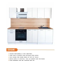 Cuisineandcie - Meuble haut de cuisine Eco Blanc 1 porte L 30 cm