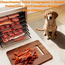 Deshydrateur Alimentaire 850W avec 8 Plateaux en Acier Inoxydable, Circulation d'Air, Fonctionnement Silencieux pour Fruits