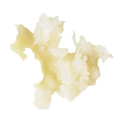 Disque Essential râpeur 1.3 mm - Robot Coupe