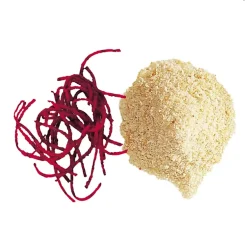 Disque Râpeur 2 mm - Robot Coupe