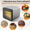 Déshydrateur Alimentaire, 7 Plateaux en Acier Inoxydable, Appareil de Séchage pour Viande, Légumes, Herbes, Fruits, 40x34x32cm
