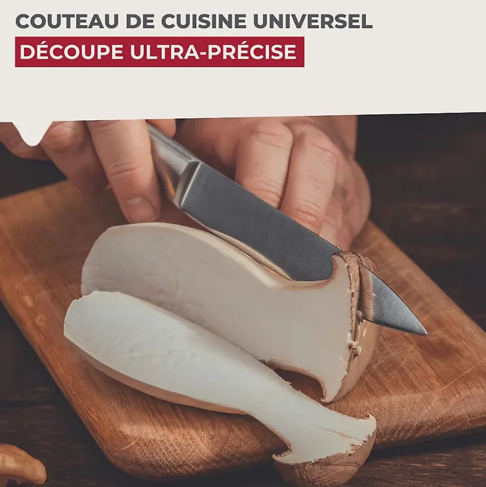 Ensemble de 4 Couteaux de cuisine universel 24 cm en tout Nirosta Star