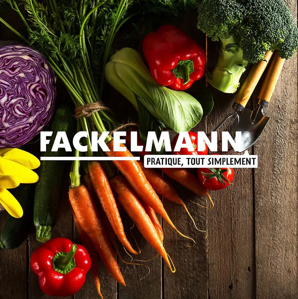 Ensemble de 2 Passoires tamis 20 cm Fackelmann