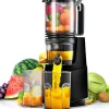 Extracteur de Jus Lent 250W Large Ouverture, Pressage à Froid