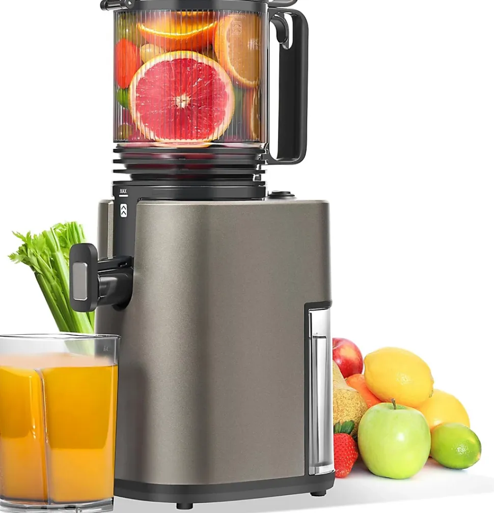 Extracteur de Jus Lent 250W, Large Ouverture, Pressage à Froid