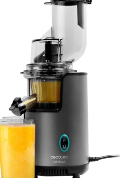 Extracteur de jus Slow Juicer 200 W Noir/Gris