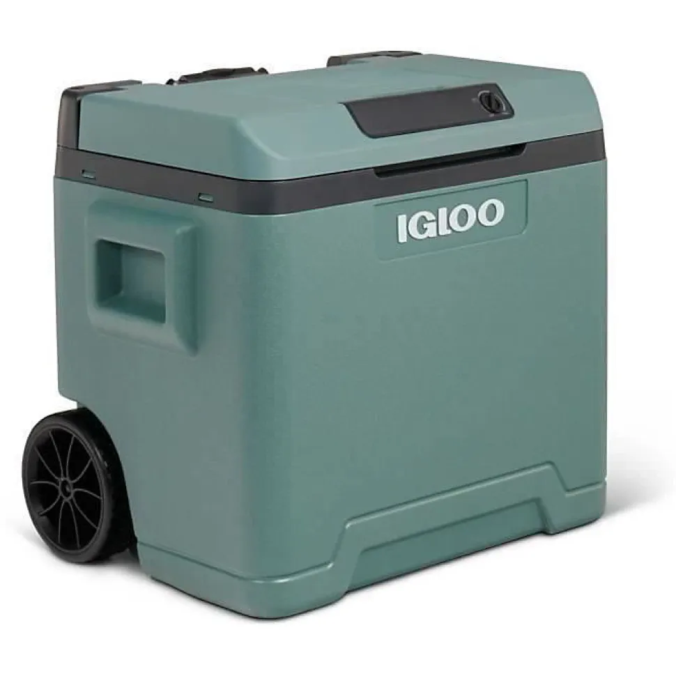 Glacière électrique Igloo 42 L Spruce 12V 230V avec roulettes et poignée trolley