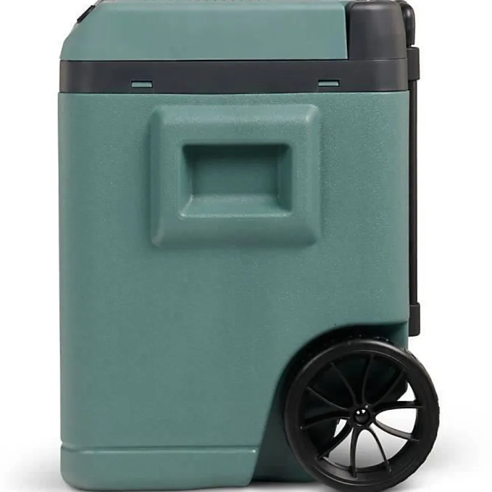 Glacière électrique Igloo 42 L Spruce 12V 230V avec roulettes et poignée trolley