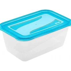 Grande Boîte de conservation et congélation 4,3 litres