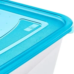 Grande Boîte de conservation et congélation 4,3 litres