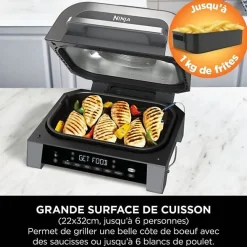 Grill & Friteuse sans huile - NINJA - MAX 6-en-1 DG551EU - 1760 W - 6 modes de cuisson - Gris