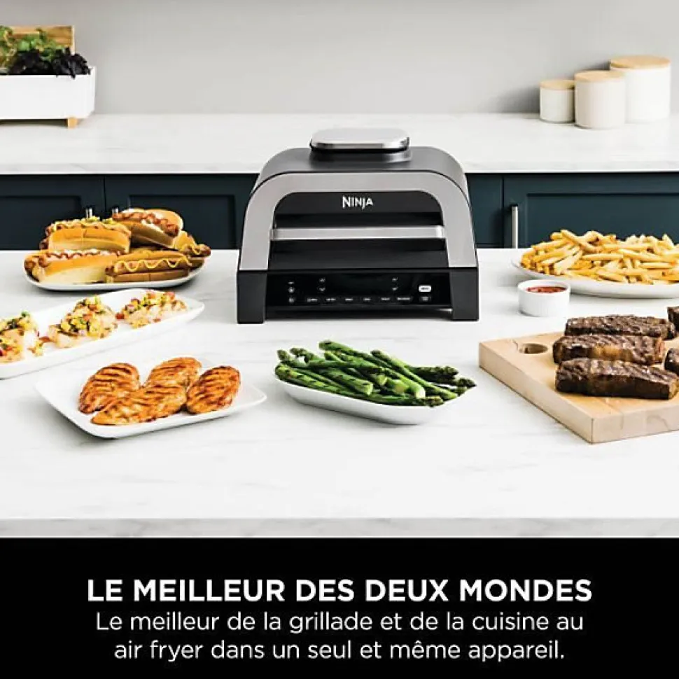 Grill & Friteuse sans huile - NINJA - MAX 6-en-1 DG551EU - 1760 W - 6 modes de cuisson - Gris