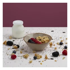 HKOENIG - Yaourtiere ELY120 - 12 pots 160 ml - Acier inox - Ecran LCD - Programmable 15h