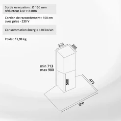 HOTTE DECORATIVE MURALE 60 CM - VERRE ET INOX - 559 m3 - 200W - 60dB