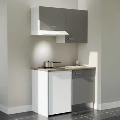 Kitchenette K01 - 120 cm - Façades : Gris - Plan de travail : Bois - Crédences : Non - Evier Inox