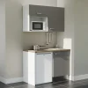 Kitchenette K07 - 120 cm - Façades : Gris - Plan de travail : Bois - Crédences : Non - Evier Inox