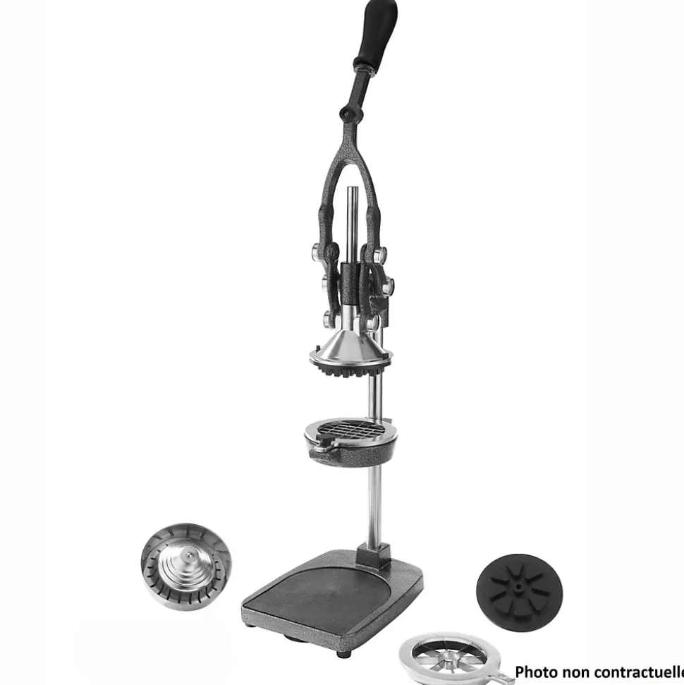 Lame de Rechange Coupe Pommes en Inox - Pujadas