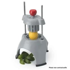 Lame de Rechange Diviseur à Tomates et Agrumes 12 Quartiers - Pujadas