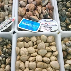 Lot de 10 Bacs alimentaires (10,7L - Avec couvercle) - Cuisines, restaurants, poissonneries, écoles, traiteurs