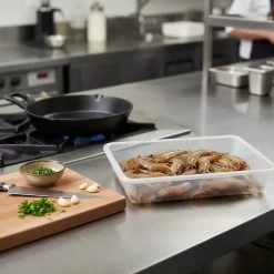 Lot de 3 Bacs de décongélation avec grille de 4,2 L. Restaurants, hôtels, cuisines... Sans BPA