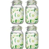 Lot de 4 bocaux hermétiques à bouchon mécanique, bocal pot de conservation, jarre en verre, capacité 4 L - Diamètre 16 x H 27.9 cm