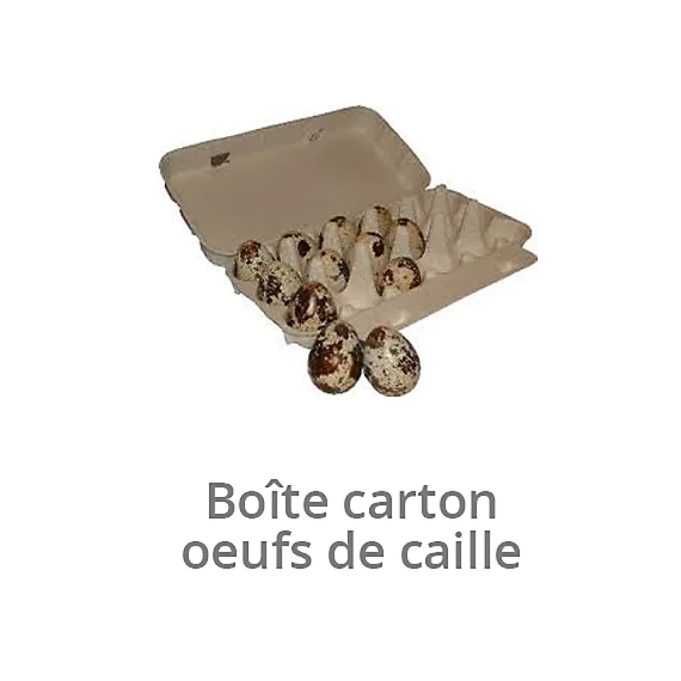 Lot de 20 Boîtes pour les oeufs cailles en carton