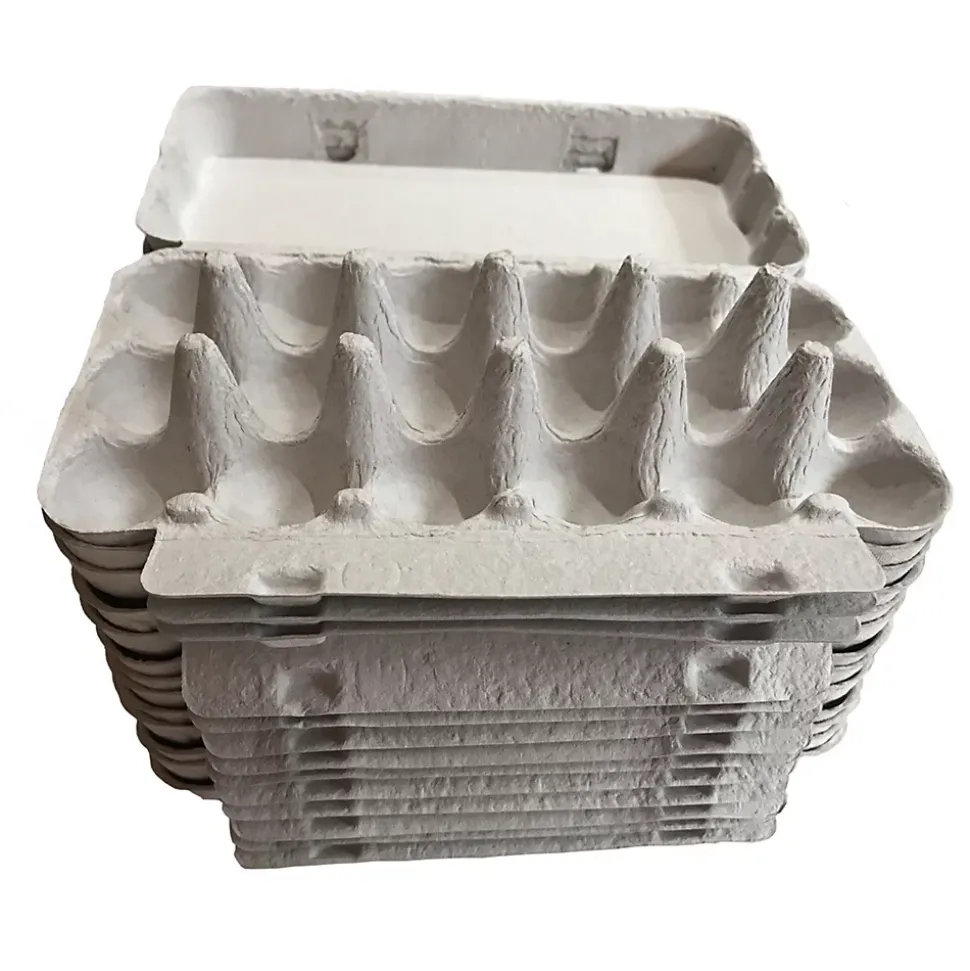 Lot de 20 Boîtes pour les oeufs cailles en carton