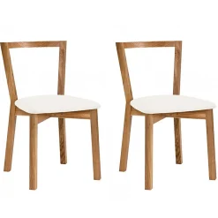 Lot de 2 Chaises Design 