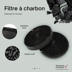 Lot de 2 Filtres à Charbon pour Hotte Roblin - 5403004 - Diamètre : 200 mm