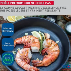 Lot de 2 poêles 24 cm et 28 cm sans PFAS Elo Alucast